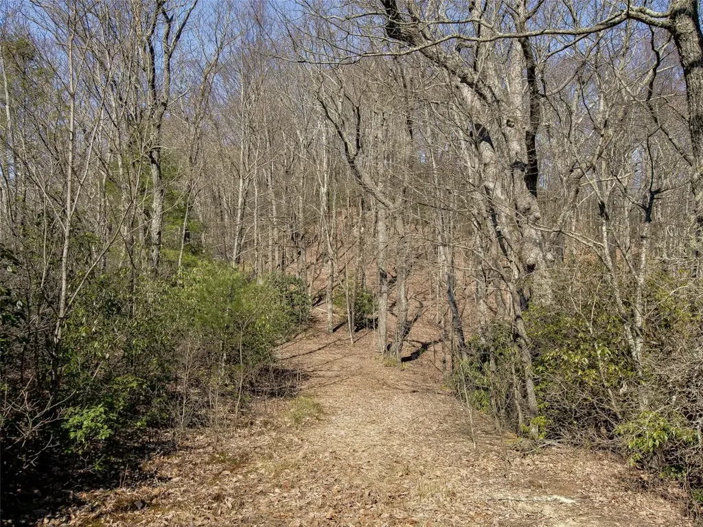 9999 W Club Boulevard Lake Toxaway NC 28747