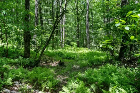9999 W Club Boulevard Lake Toxaway NC 28747