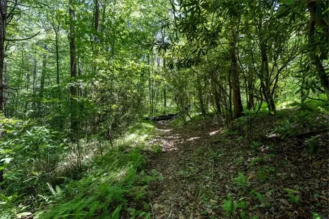 9999 W Club Boulevard Lake Toxaway NC 28747