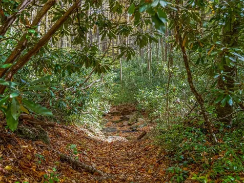 9999 W Club Boulevard Lake Toxaway NC 28747