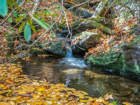 9999 W Club Boulevard Lake Toxaway NC 28747