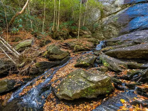 9999 W Club Boulevard Lake Toxaway NC 28747