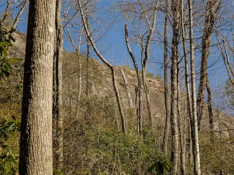 9999 W Club Boulevard Lake Toxaway NC 28747