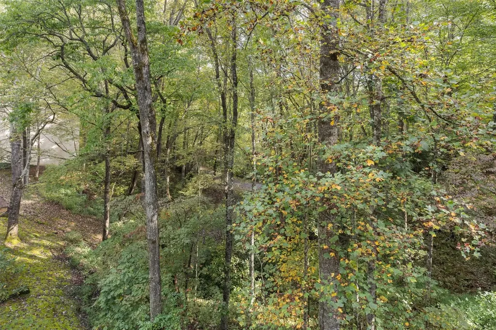 115 Dogwood Knob Sapphire NC 28774