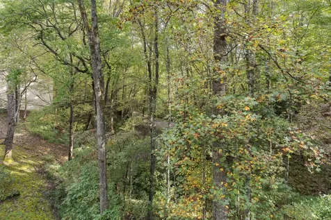 115 Dogwood Knob Sapphire NC 28774