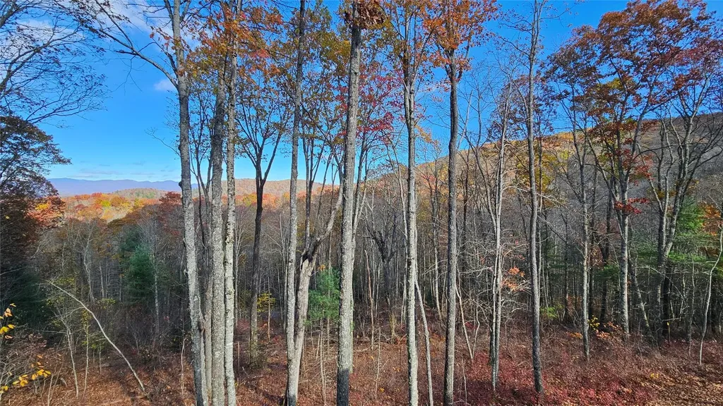 906 New Settlers Way Glenville NC 28736