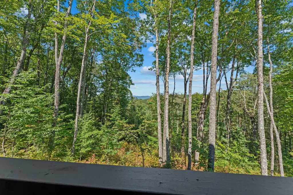 906 New Settlers Way Glenville NC 28736