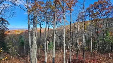 906 New Settlers Way Glenville NC 28736