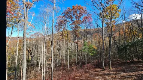 906 New Settlers Way Glenville NC 28736