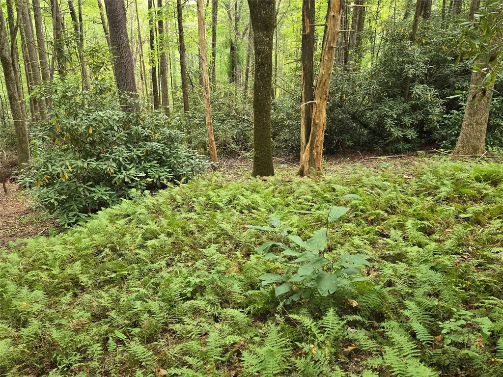 557 Country Club Estate Sapphire NC 28774