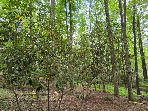 557 Country Club Estate Sapphire NC 28774