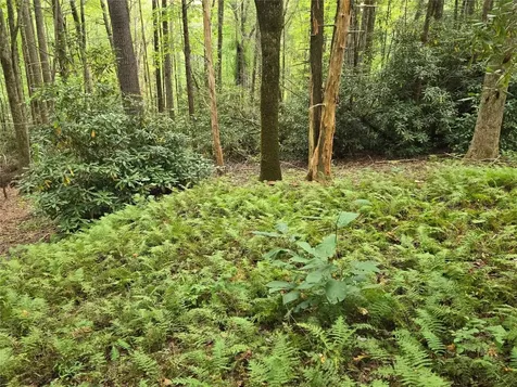 557 Country Club Estate Sapphire NC 28774