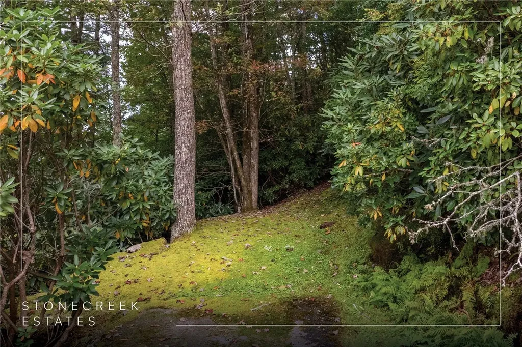 Lot 23 Rock Mountain Road Sapphire NC 28774