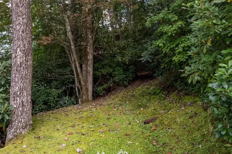 Lot 23 Rock Mountain Road Sapphire NC 28774