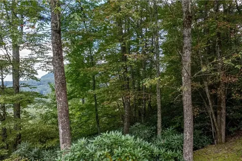 Lot 23 Rock Mountain Road Sapphire NC 28774