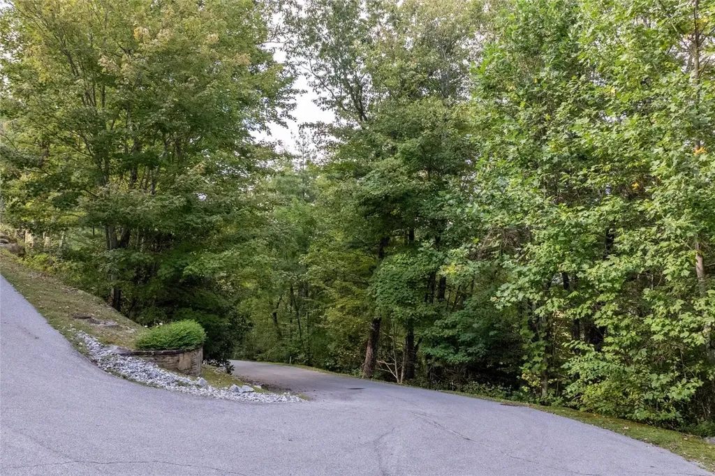 Lot 25 Rock Mountain Road Sapphire NC 28774