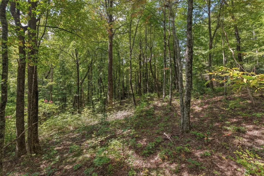 Lot 9r Whitewater Ridge Road Sapphire NC 28774