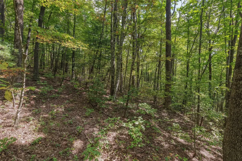 Lot 9r Whitewater Ridge Road Sapphire NC 28774