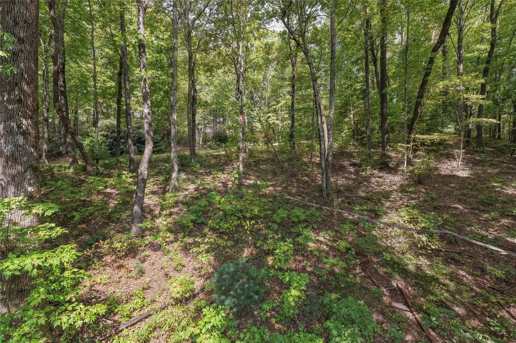 Lot 9r Whitewater Ridge Road Sapphire NC 28774