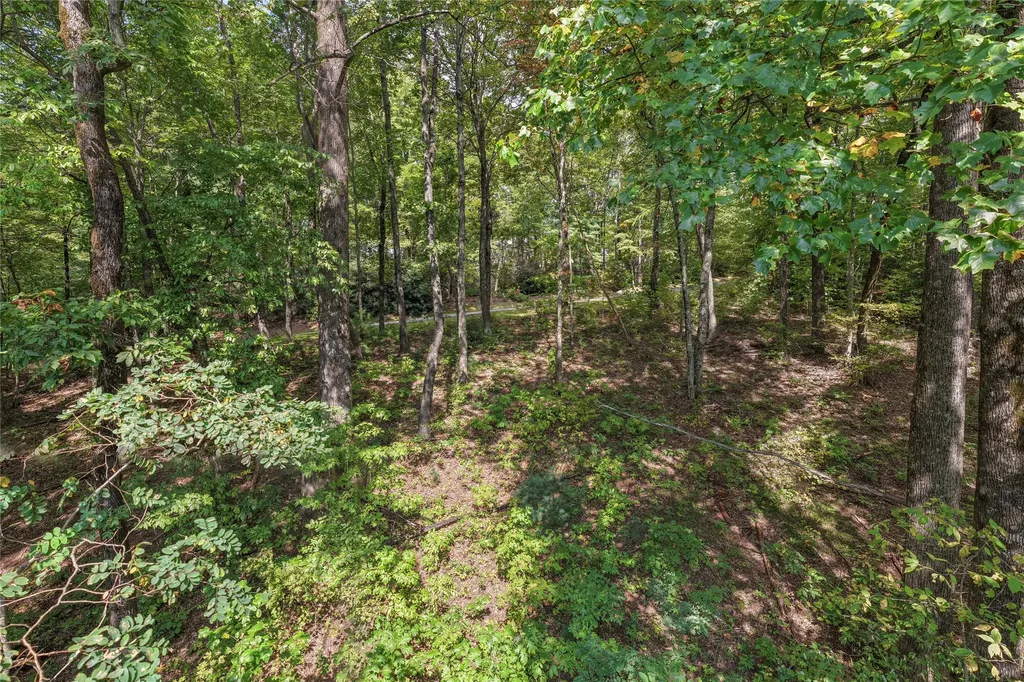 Lot 9r Whitewater Ridge Road Sapphire NC 28774