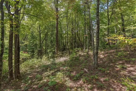Lot 9r Whitewater Ridge Road Sapphire NC 28774