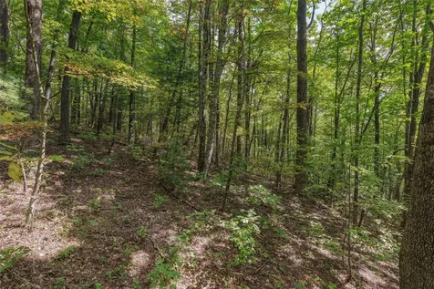 Lot 9r Whitewater Ridge Road Sapphire NC 28774