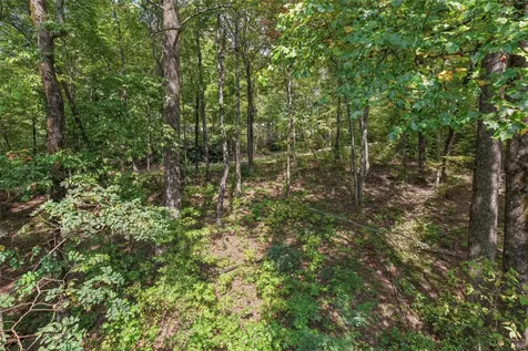 Lot 9r Whitewater Ridge Road Sapphire NC 28774