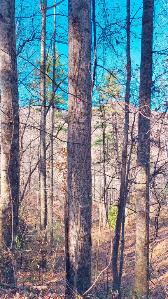 Lot 15 Mountain Air Road Franklin NC 28734