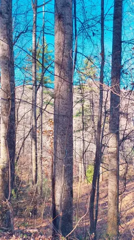 Lot 15 Mountain Air Road Franklin NC 28734