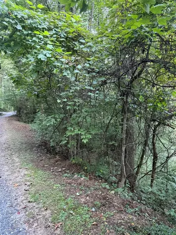 Lot 15 Mountain Air Road Franklin NC 28734