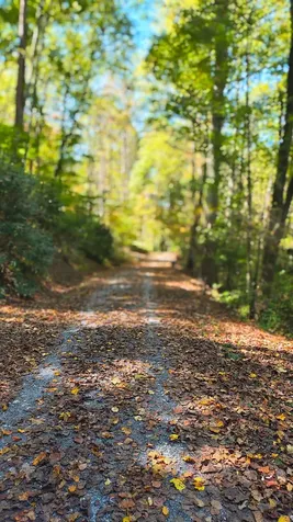 Lot 15 Mountain Air Road Franklin NC 28734