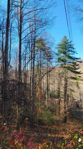 Lot 15 Mountain Air Road Franklin NC 28734