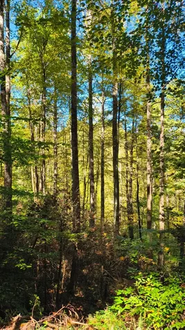 Lot 15 Mountain Air Road Franklin NC 28734