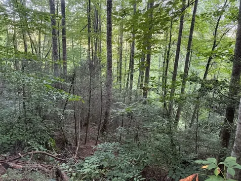 Lot 15 Mountain Air Road Franklin NC 28734