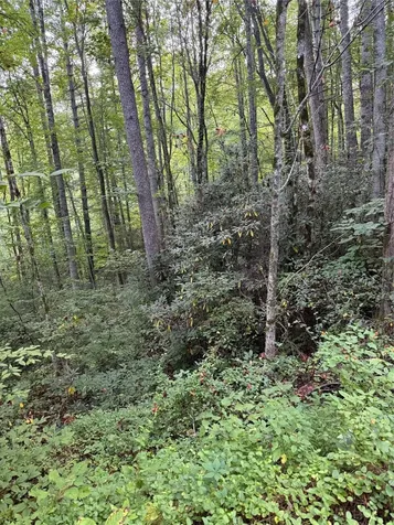 Lot 15 Mountain Air Road Franklin NC 28734