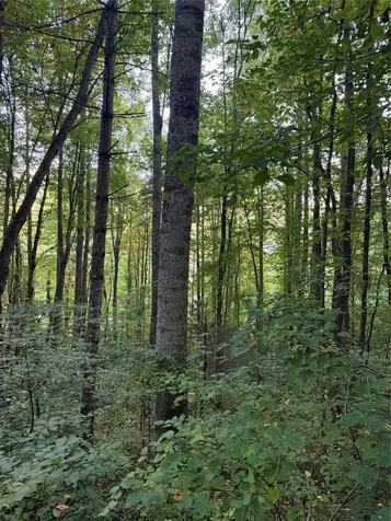Lot 15 Mountain Air Road Franklin NC 28734
