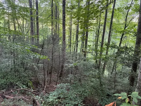 Lot 15 Mountain Air Road Franklin NC 28734