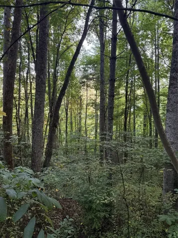 Lot 15 Mountain Air Road Franklin NC 28734