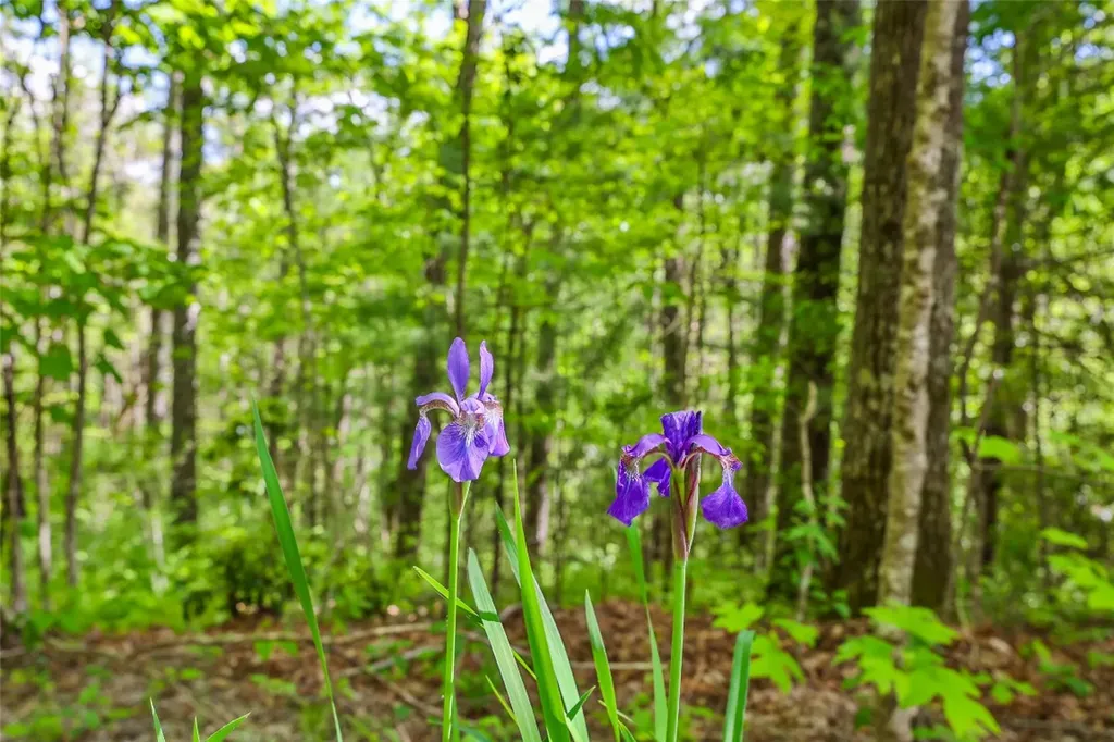 7 Crestwood Road Cashiers NC 28717