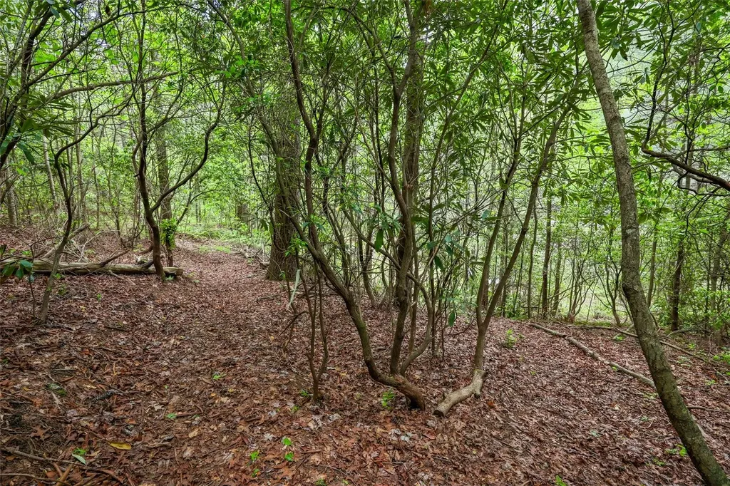 7 Crestwood Road Cashiers NC 28717