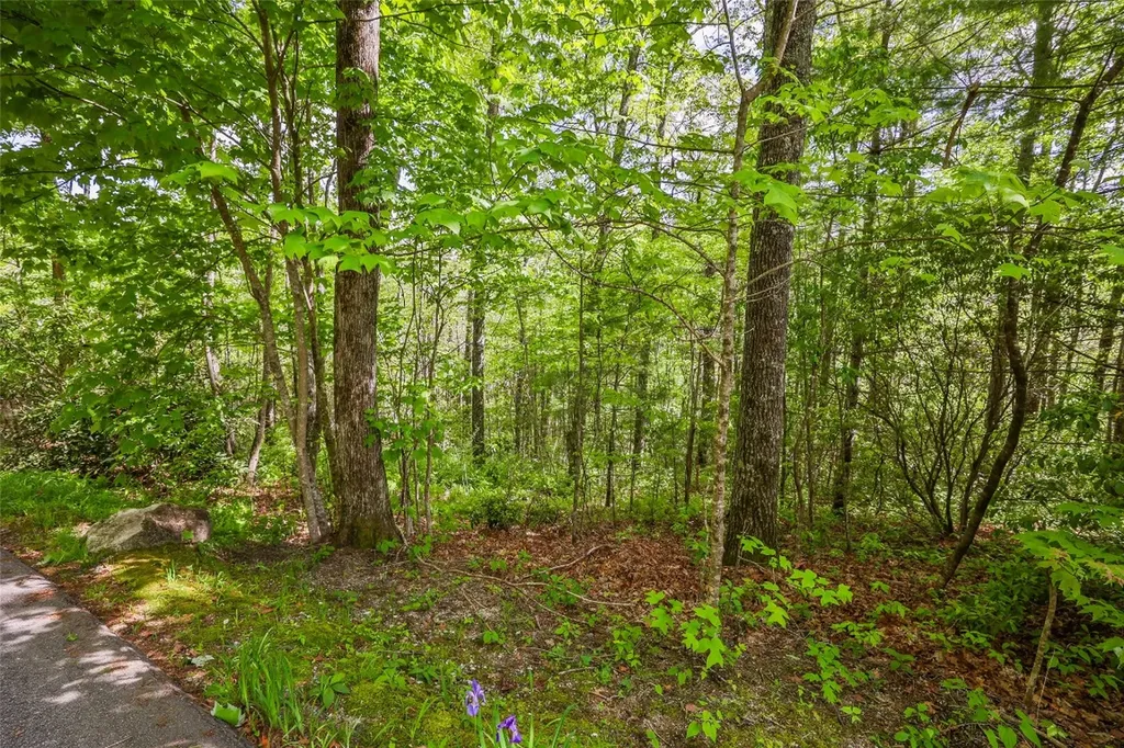 7 Crestwood Road Cashiers NC 28717