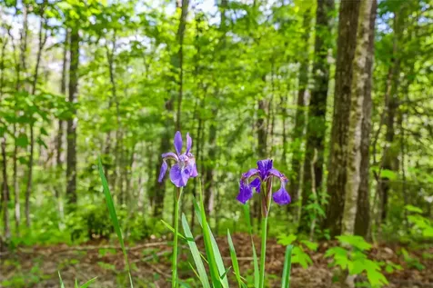 7 Crestwood Road Cashiers NC 28717