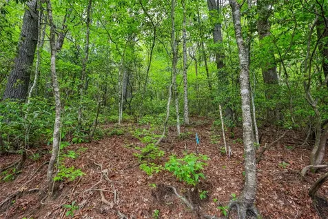 7 Crestwood Road Cashiers NC 28717