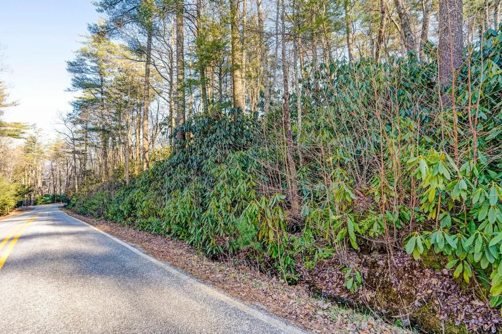 Lot 17 Bowery Highlands NC 28741