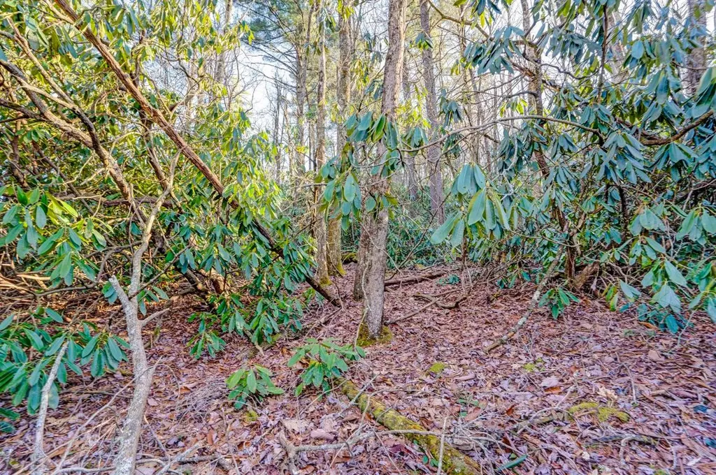 Lot 17 Bowery Highlands NC 28741