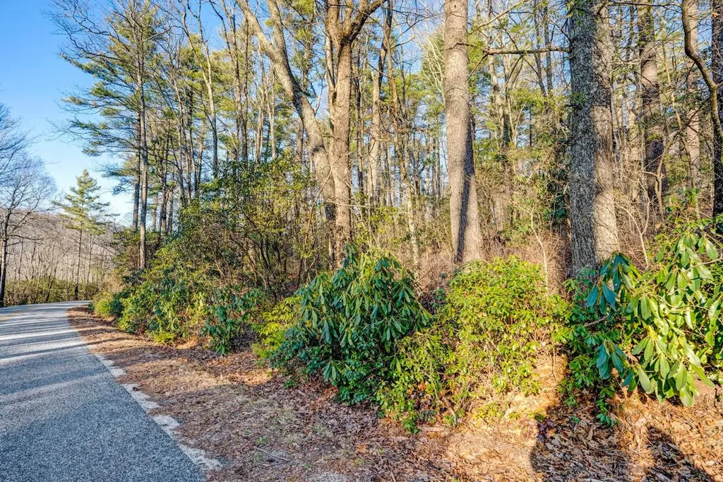 Lot 17 Bowery Highlands NC 28741