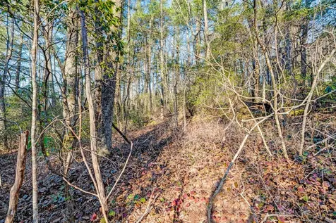 Lot 17 Bowery Highlands NC 28741