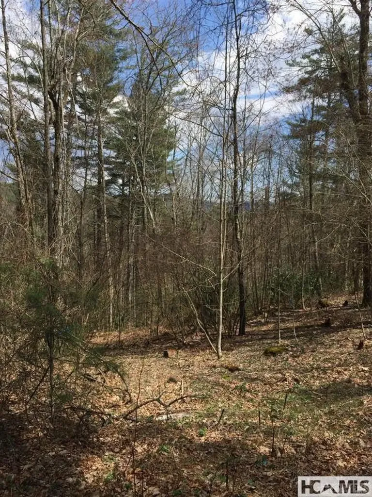 42 Tarragon Drive Cashiers NC 28717