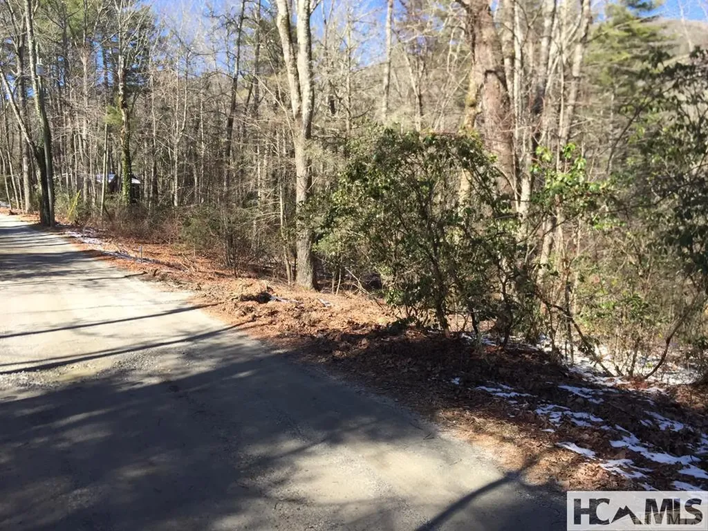 42 Tarragon Drive Cashiers NC 28717