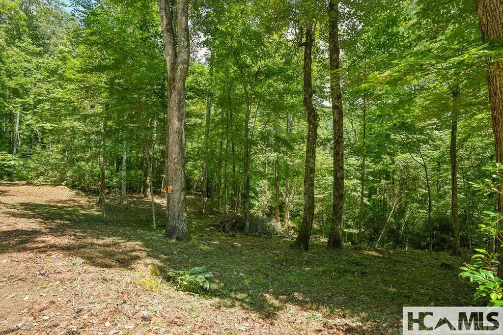 42 Tarragon Drive Cashiers NC 28717